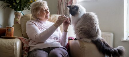 elderly woman sitting on sofa with cat