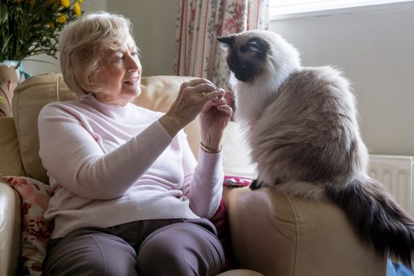 elderly woman sitting on sofa with cat