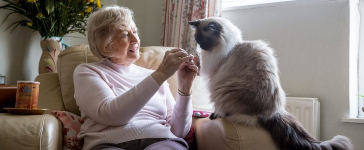 elderly woman sitting on sofa with cat
