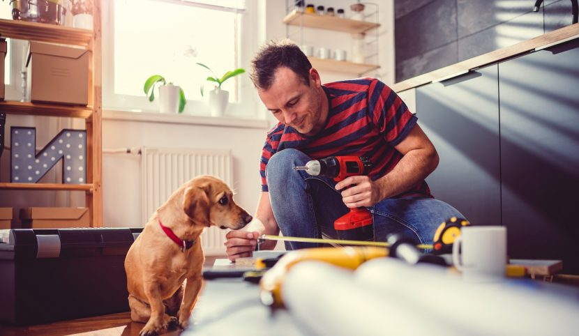 Man with power drill tape measure with dog